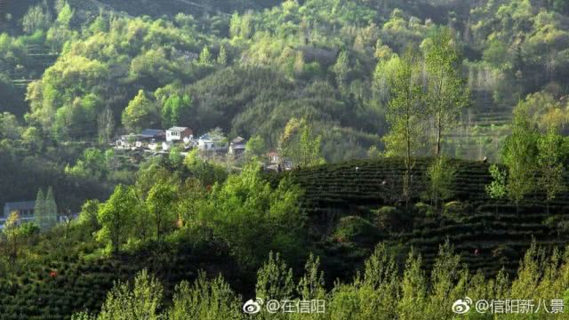 IMG_262 IMG_262