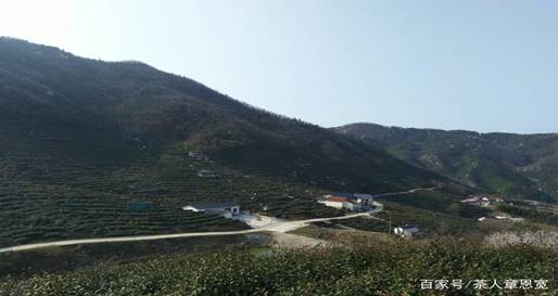 IMG_256 IMG_256