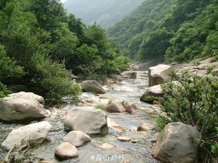 IMG_256 IMG_256