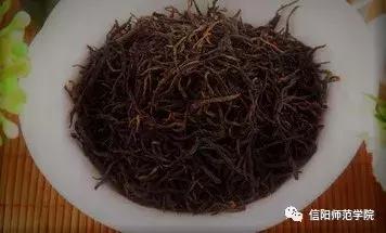 信阳师范学院举行国际茶文化研讨会:茶中生雅趣,茶中生斯文