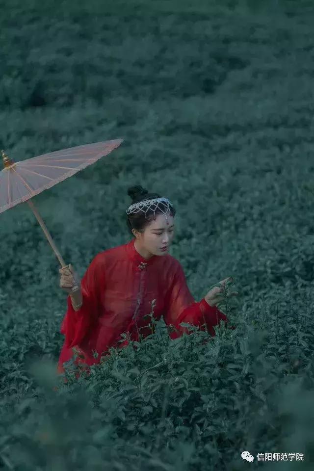 信阳师范学院举行国际茶文化研讨会:茶中生雅趣,茶中生斯文 信阳师范学院举行国际茶文化研讨会:茶中生雅趣,茶中生斯文