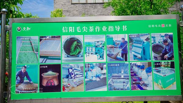 IMG_269 IMG_269