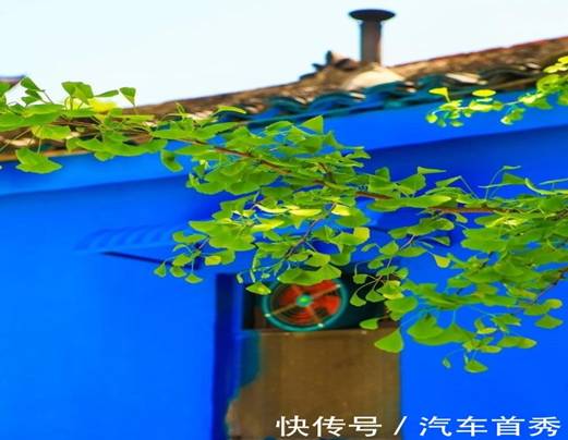 IMG_285 IMG_285