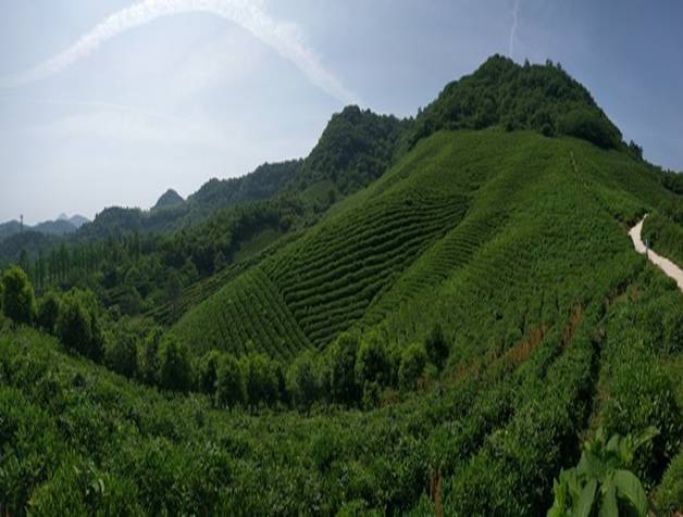 IMG_256 IMG_256