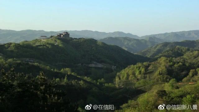 IMG_265 IMG_265